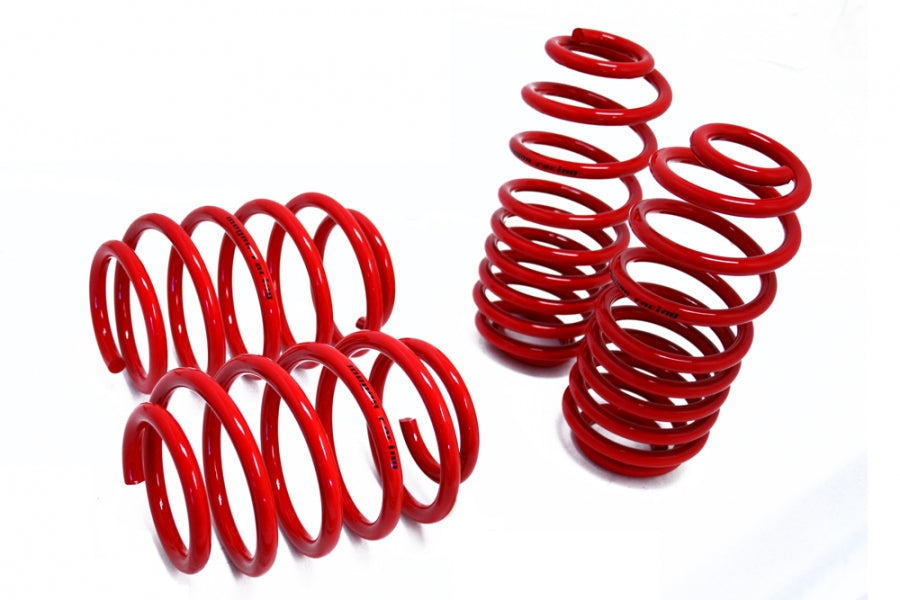 Lowering Springs - Euro-Version for Audi TT 08+