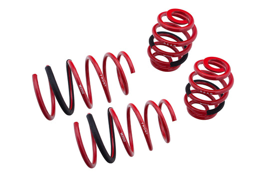 Lowering Springs - Euro-Version for BMW 93-98 E36 92-98